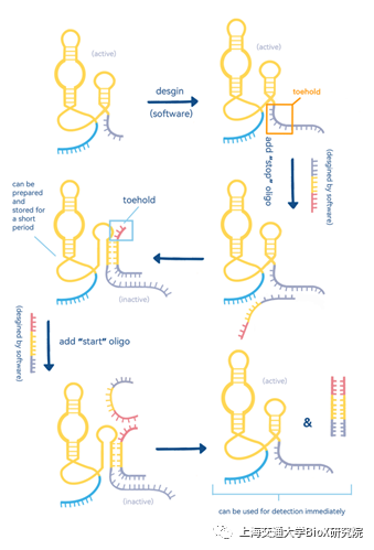 211115igem7.png