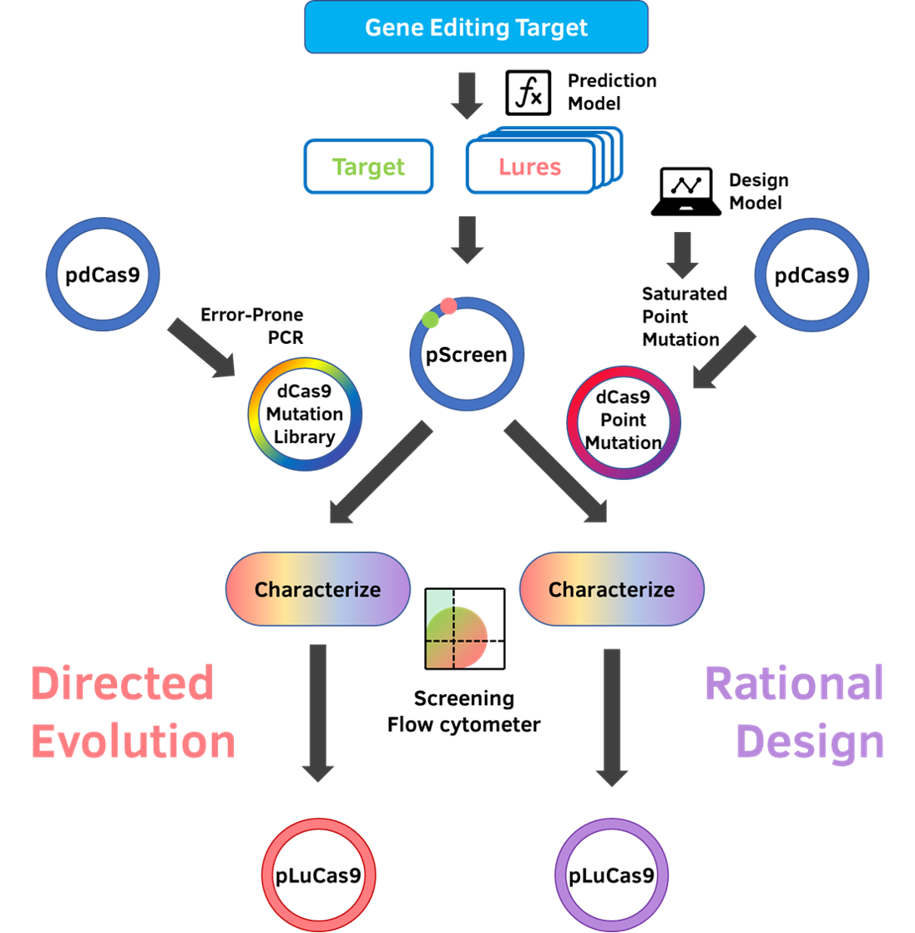 20201124igem2.jpg.png