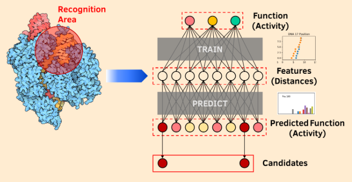 20201124igem5.png