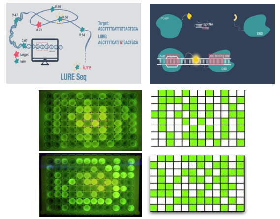 igem_20191106094021(1).png