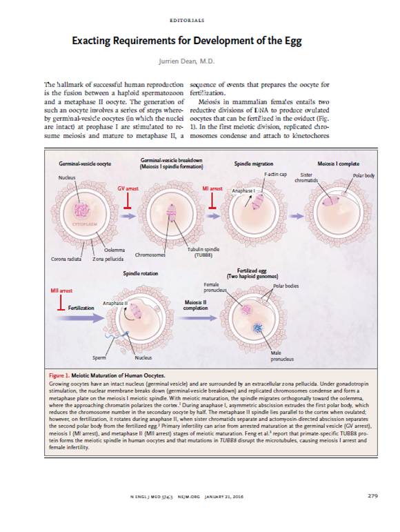 NEJM-2(1).png